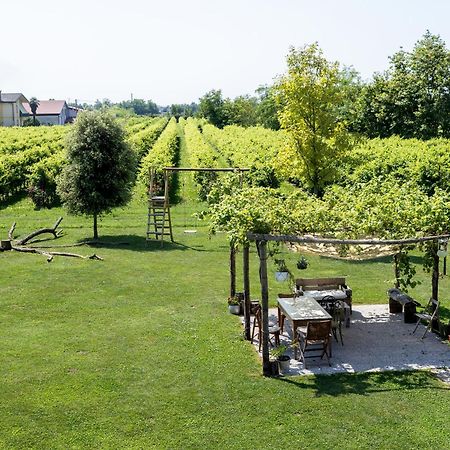 Agriturismo Da Zeffi Spresiano Zewnętrze zdjęcie