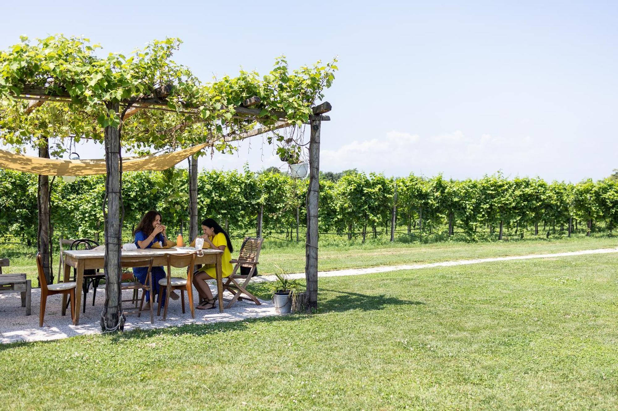 Agriturismo Da Zeffi Spresiano Zewnętrze zdjęcie